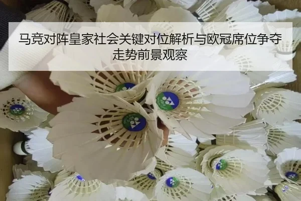 ma-jing-dui-zhen-huang-jia-she-hui-guan-jian-dui-wei-jie-xi-yu-ou-guan-xi-wei-zheng-duo-zou-shi-qian-jing-guan-cha-2-154.jpg